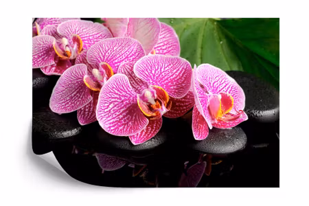 Fyrkantig fototapet - Orchid Spa