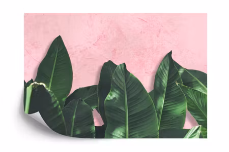 Fyrkantig fototapet - Tropical Plants on Pink