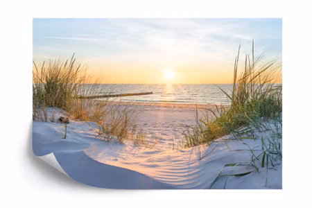 Fyrkantig fototapet - Beach Sea Dunes