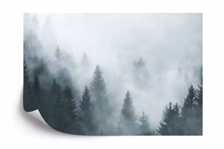 Fyrkantig fototapet - Forest in Fog