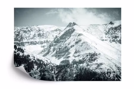 Fyrkantig fototapet - Winter in the Mountains
