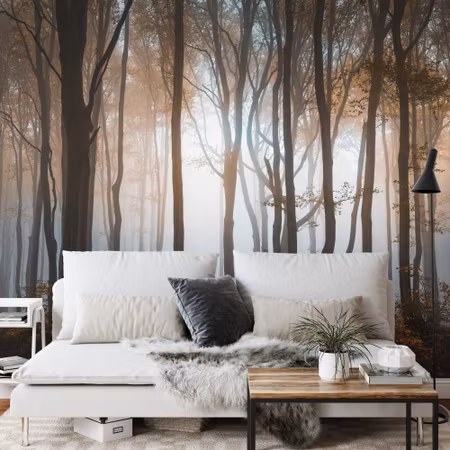 Fyrkantig fototapet - Forest Trees