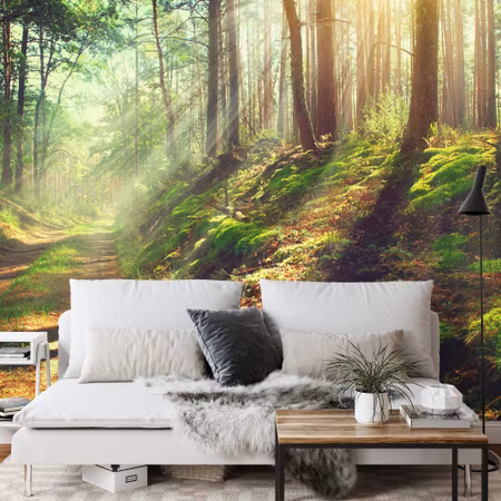 Fyrkantig fototapet - Forest Nature