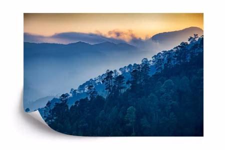 Fyrkantig fototapet - Forest Mountains