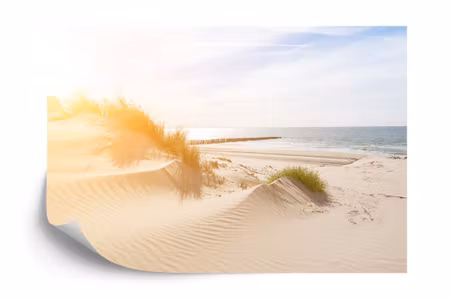 Fyrkantig fototapet - Beach Sea Dunes