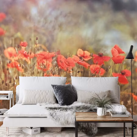 Fyrkantig fototapet - Wild Poppies on the Meadow