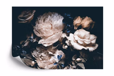 Fyrkantig fototapet - Peonies in the Dark