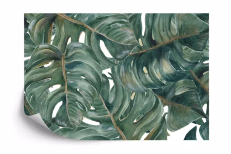Fyrkantig fototapet - Watercolour Monstera Leaves