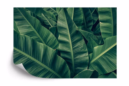 Fyrkantig fototapet - Tropical Leaves Retro