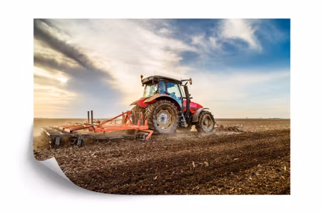 Fyrkantig fototapet - Tractor At Work in the Filed