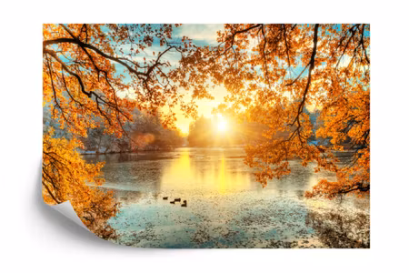 Fyrkantig fototapet - Autumn Sunset Iq1230