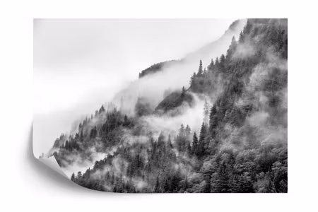 Fyrkantig fototapet - Mist in the Forest Noir