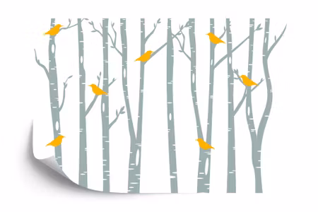 Fyrkantig fototapet - Birds &ampamp Birch Iq1309