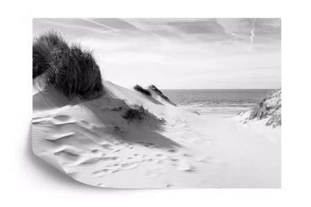 Fyrkantig fototapet - The Way To the Sea Black