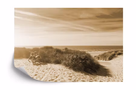 Fyrkantig fototapet - Last of the Summer Sun Sepia