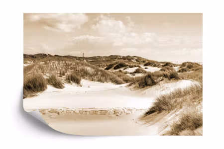 Fyrkantig fototapet - Dune Paradise in Sepia