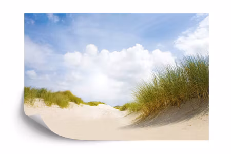 Fyrkantig fototapet - Sandy Days Iq1216a