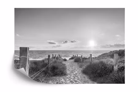 Fyrkantig fototapet - Summer Sunset Black &ampamp