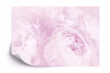 Fyrkantig fototapet - Beautiful Blooms Faded