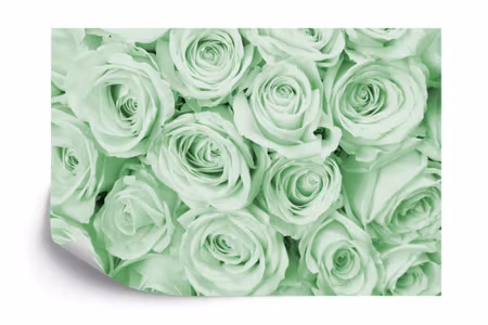 Fyrkantig fototapet - Rose Bouquet Green Iq1225c