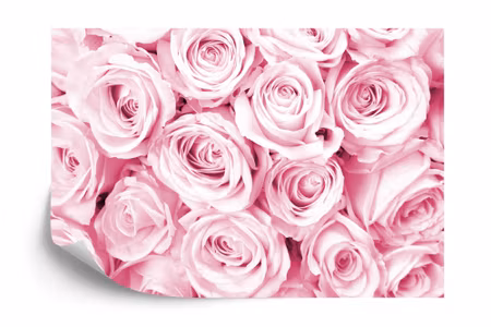 Fyrkantig fototapet - Rose Bouquet Pink Iq1225d