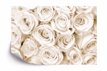 Fyrkantig fototapet - Rose Bouquet Sepia Iq1225b