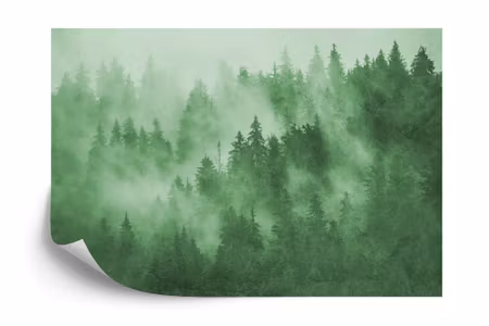 Fyrkantig fototapet - Forest in the Mist in Green