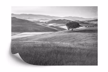 Fyrkantig fototapet - Rolling Hills Faded Vintage
