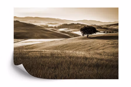 Fyrkantig fototapet - Rolling Hills in Sepia