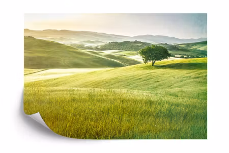 Fyrkantig fototapet - Rolling Hills Faded Vintage