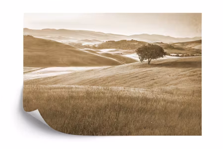 Fyrkantig fototapet - Rolling Hills Faded Vintage