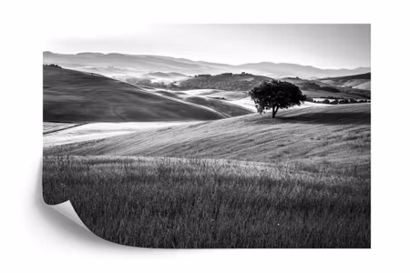 Fyrkantig fototapet - Rolling Hills in Black