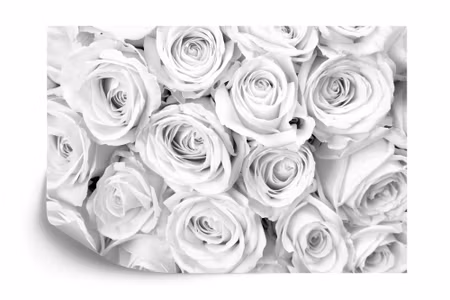 Fyrkantig fototapet - Rose Bouquet Black &ampamp
