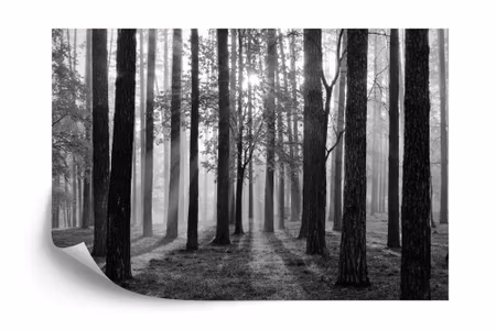 Fyrkantig fototapet - Sunrise in Black &ampamp