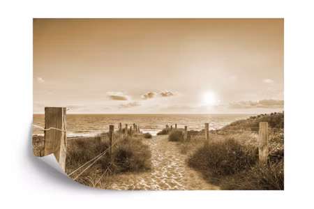 Fyrkantig fototapet - Summer Sunset Sepia Iq1218b