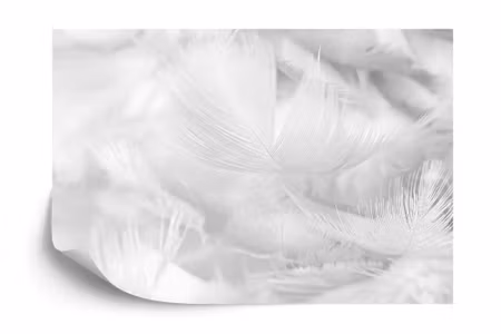 Fyrkantig fototapet - Feathers in Black &ampamp