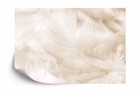 Fyrkantig fototapet - Feathers in Sepia Iq1251b
