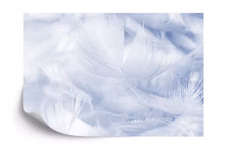 Fyrkantig fototapet - Feathers in Blue Iq1251d