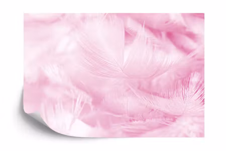 Fyrkantig fototapet - Feathers in Pink Iq1251e