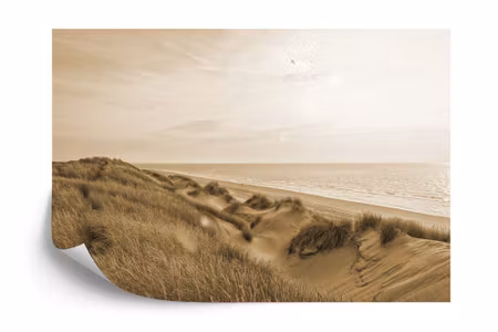 Fyrkantig fototapet - Dune Sunrise Sepia Iq1211c