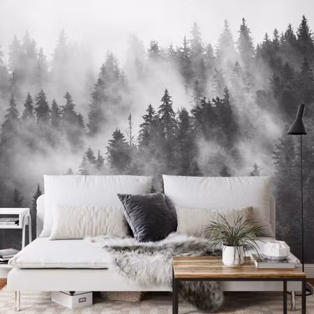 Fyrkantig fototapet - Forest in the Mist Black