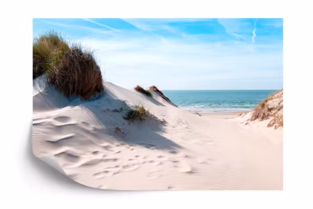 Fyrkantig fototapet - The Way To the Sea Iq1209a