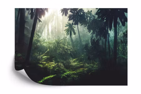Fyrkantig fototapet - Dark Rainforest Sun Rays