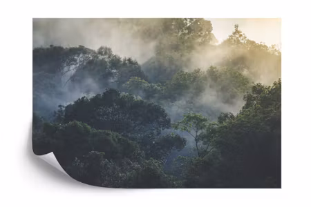 Fyrkantig fototapet - Landscape of Asia Tropical