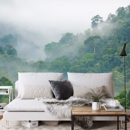 Fyrkantig fototapet - Rainforest Morning Fog