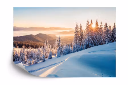 Fyrkantig fototapet - Impressive Winter Morning in