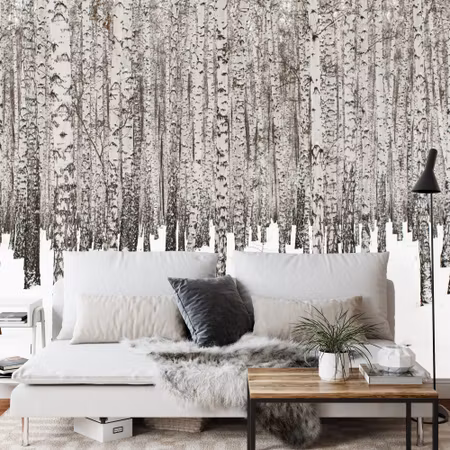 Fyrkantig fototapet - Birch Noir Iq1236