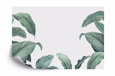 Fyrkantig fototapet - Tropical Leaves Frame