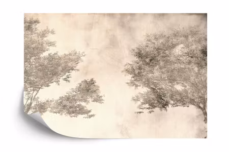 Fyrkantig fototapet - Tropical Trees and Leaves