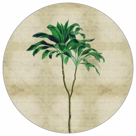 Rund fototapet - Tropical botanicals III